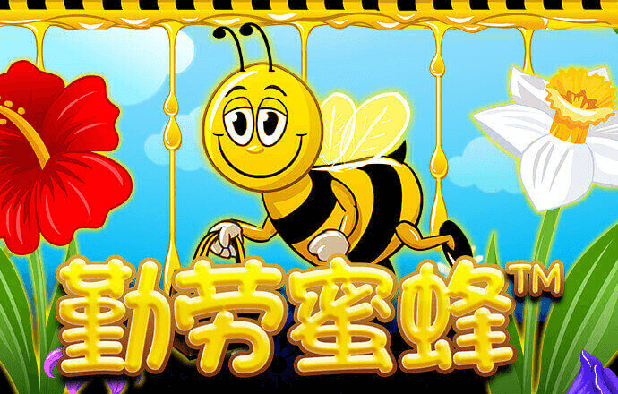 澳门新彩资料官方网站